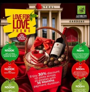 Adron-Homes1-585x596 (1)