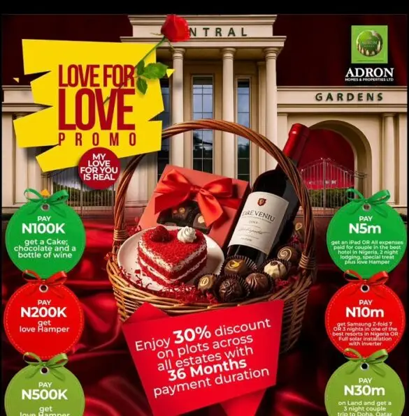 Adron-Homes1-585x596 (1)