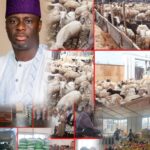 ILEYA LARGESSE: OGUNLEWE DISTRIBUTES RAMS, COWS, BAGS Of RICE, CASH GIFTS TO STAFF, STAKEHOLDERS